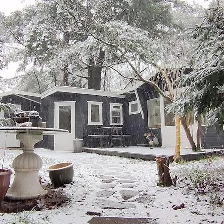Magisch Huisje Direct Aan Het Veluwse Bos. Holiday home Putten