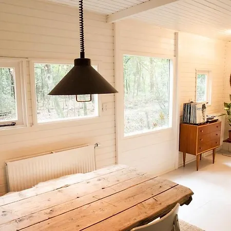 Magisch Huisje Direct Aan Het Veluwse Bos. Putten