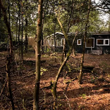 Holiday home Magisch Huisje Direct Aan Het Veluwse Bos. *