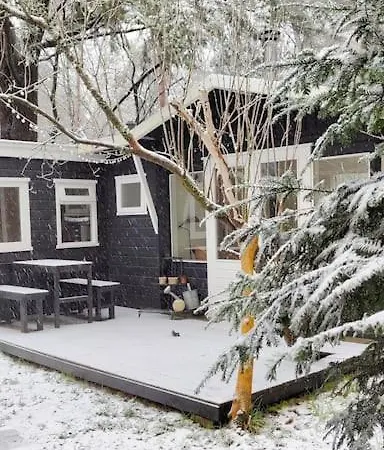 Magisch Huisje Direct Aan Het Veluwse Bos. Holiday home Putten