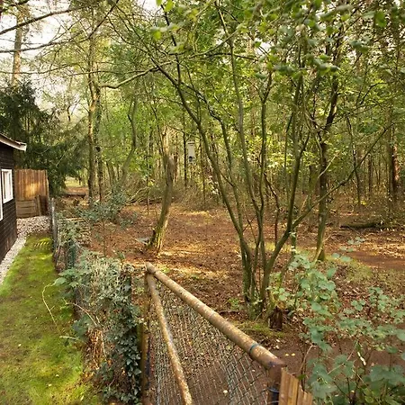 Magisch Huisje Direct Aan Het Veluwse Bos. Holiday home Putten
